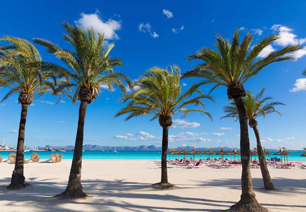 Ferienwohnung in Port d´Alcudia - A. Portobello in Alcudia WiFi