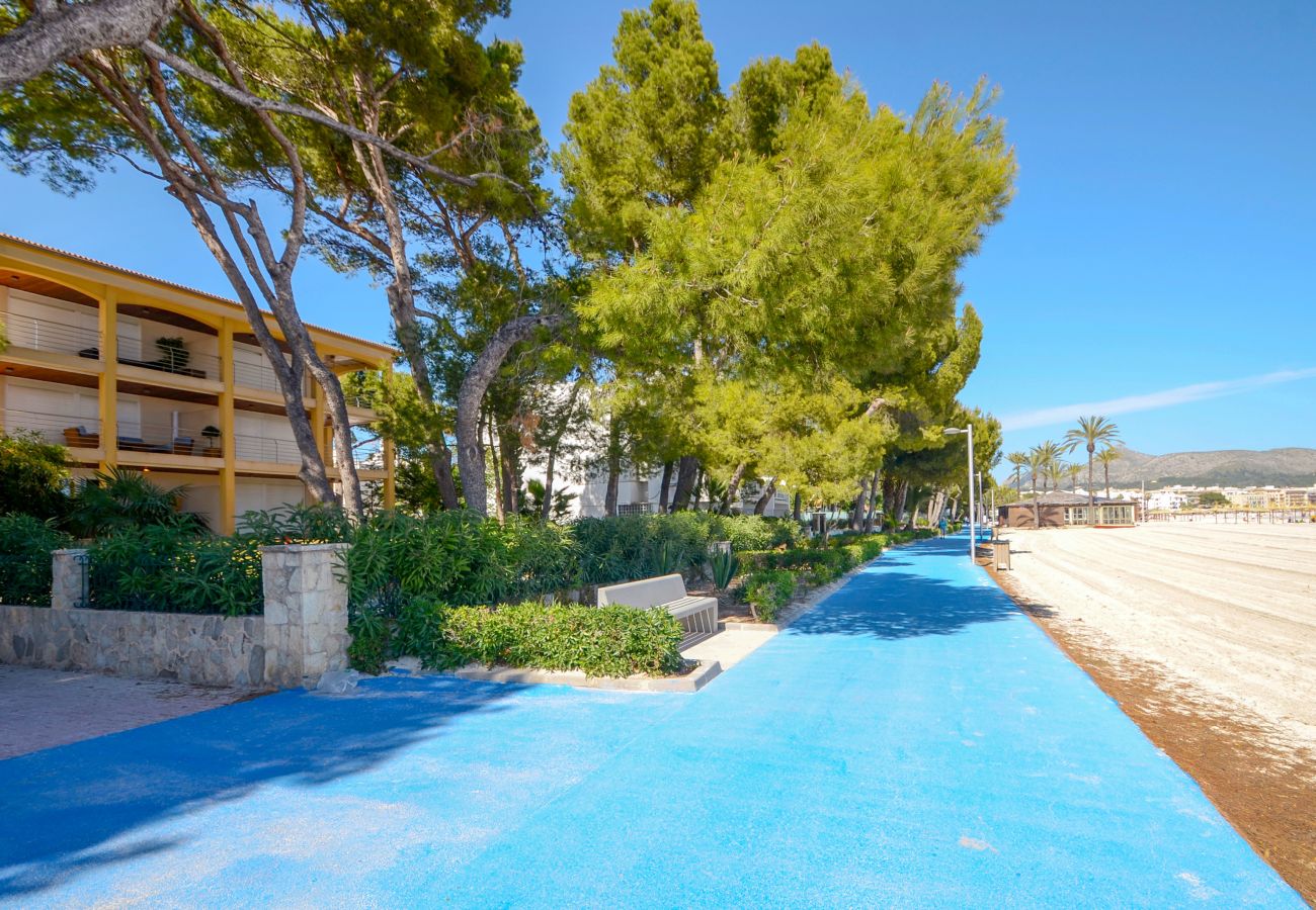 Ferienwohnung in Alcudia - A. Minervas Dream Garden