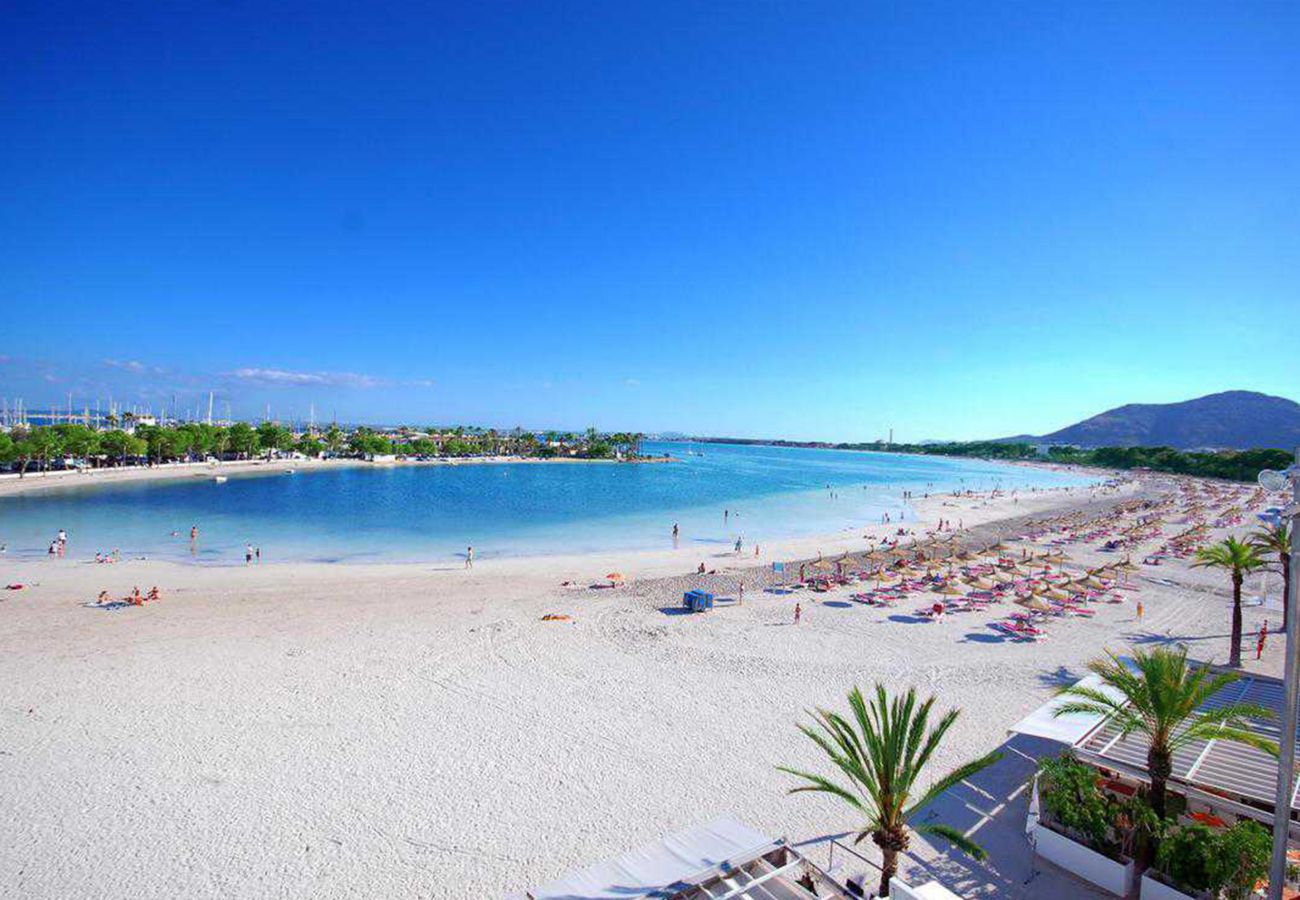 Ferienwohnung in Alcudia - A. Minervas Dream Garden