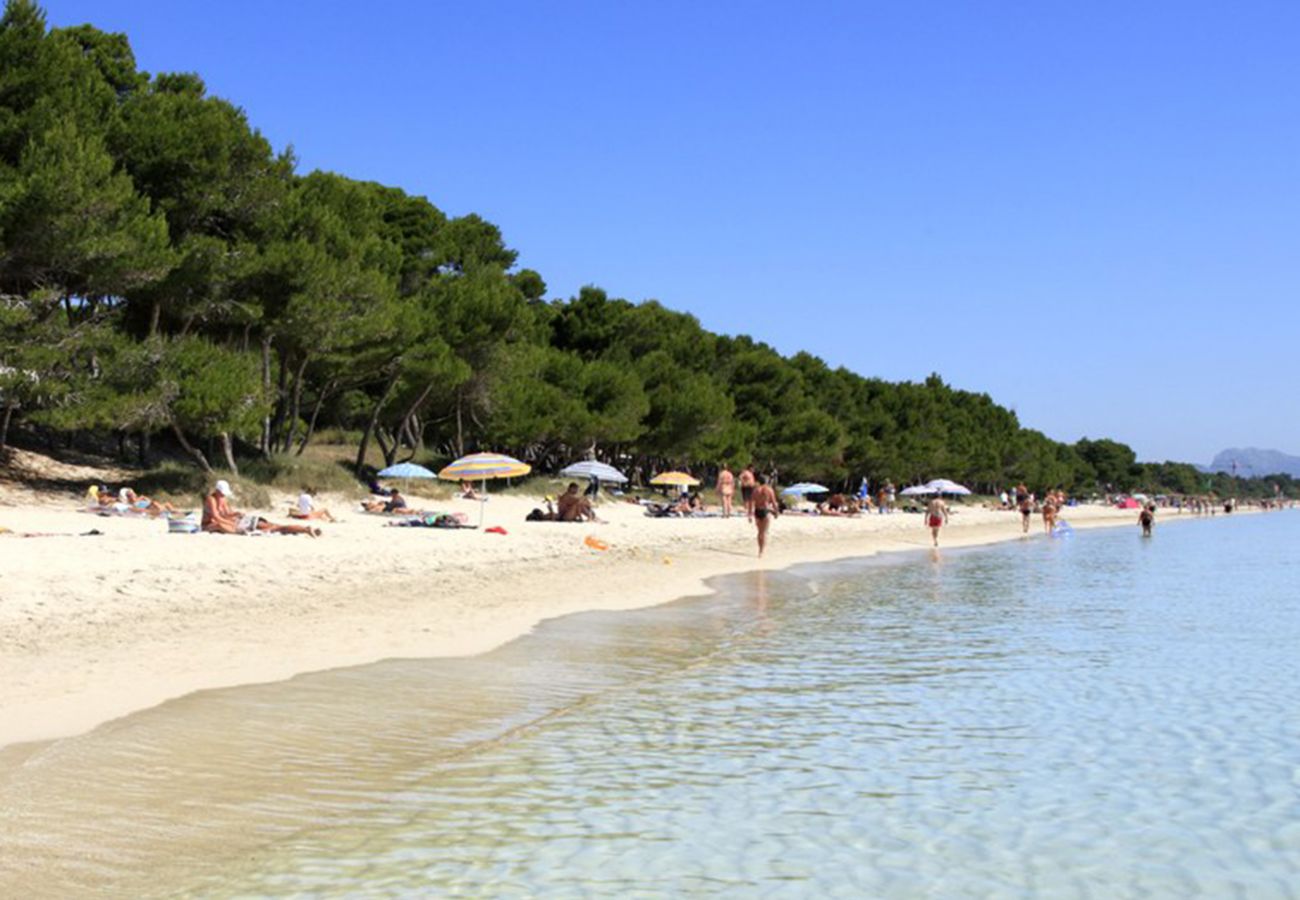 Ferienwohnung in Alcudia - A. Minervas Dream Garden
