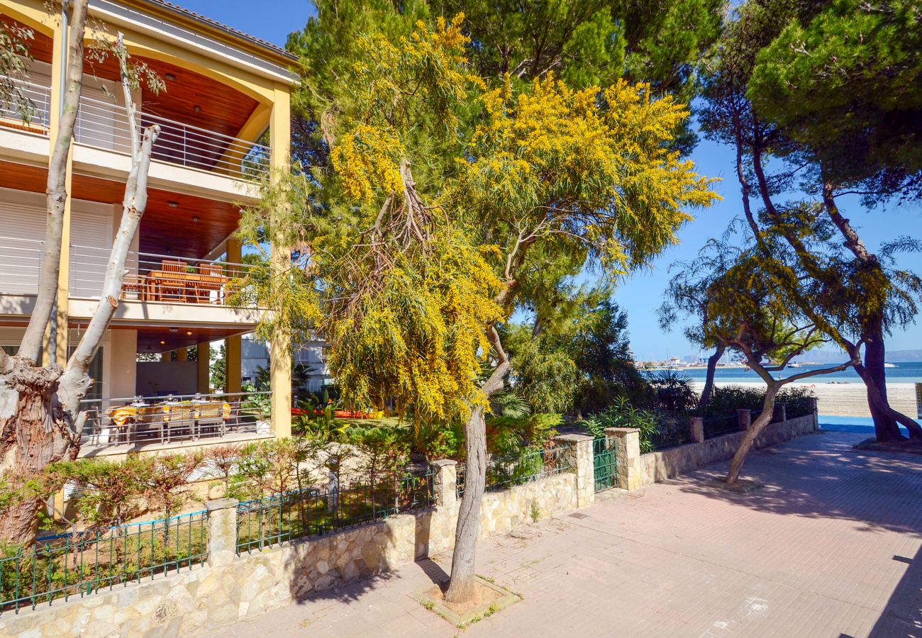 Ferienwohnung in Alcudia - A. Minervas Dream Attic
