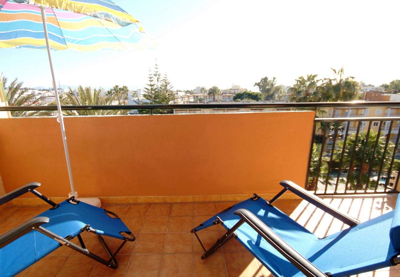 Ferienwohnung in Alcudia - A. Arcoiris, pool and sea views in Alcudia