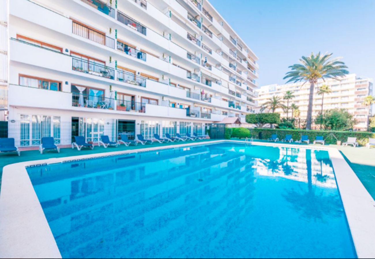 Ferienwohnung in Alcudia - A. Arcoiris, pool and sea views in Alcudia
