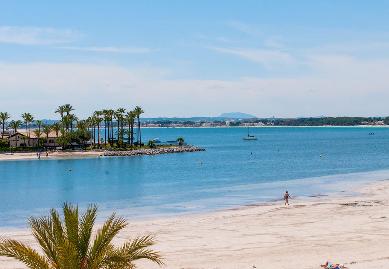Ferienwohnung in Alcudia - A. Xara Torres at Alcudia Beach