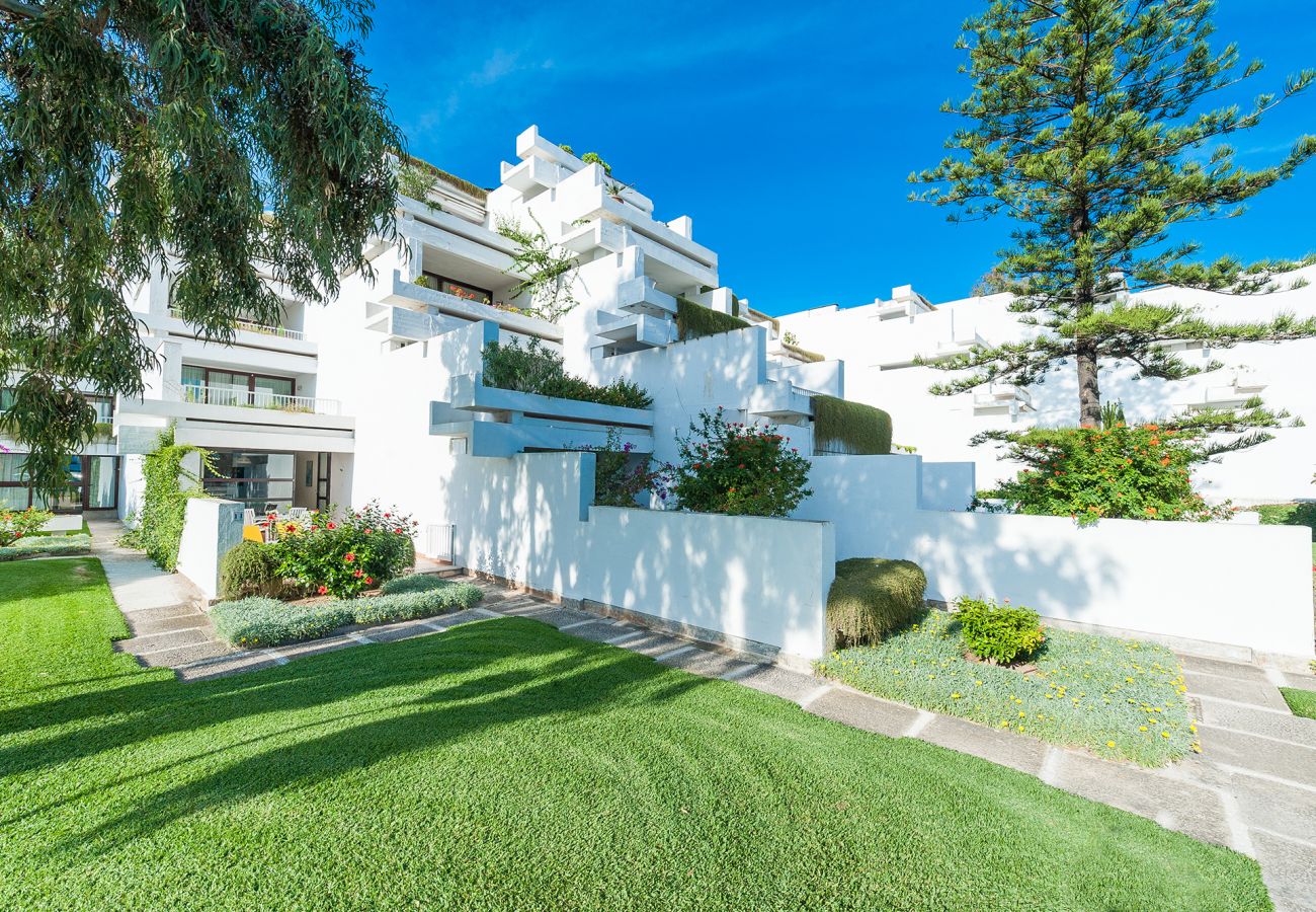 Ferienwohnung in Alcudia - A. Oiza Classic in Alcudia Beach
