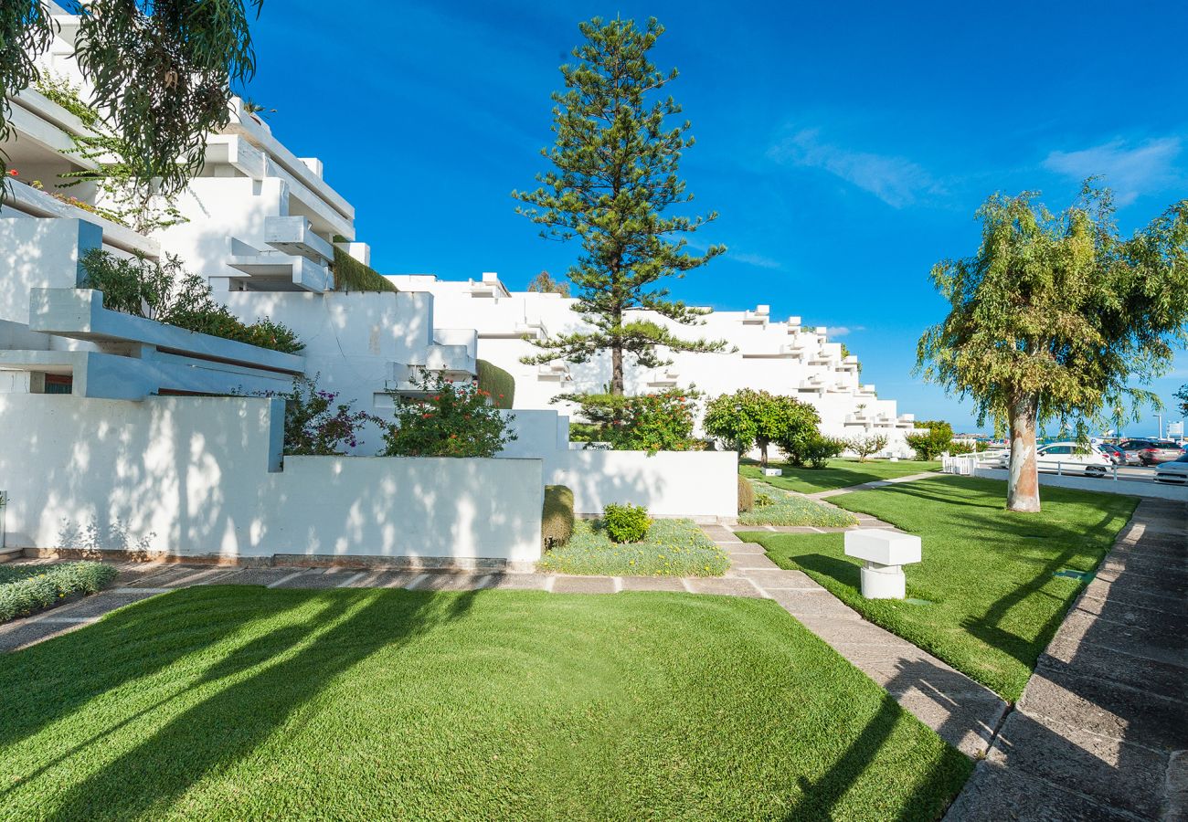 Ferienwohnung in Alcudia - A. Oiza Garden (Bahía Blanca) en Playa Alcudia