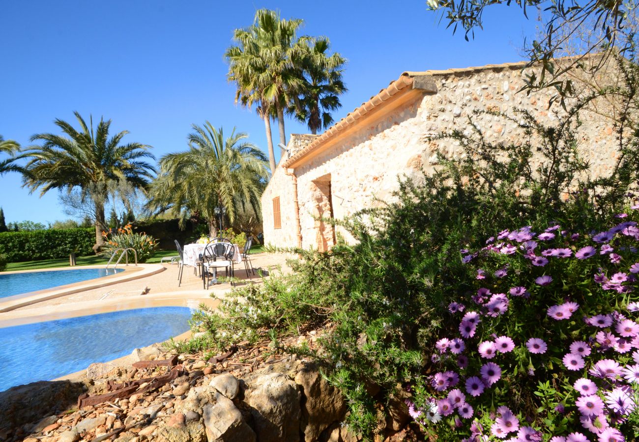 Villa in Inca - V. Can Rovey, pool and gardens in Inca