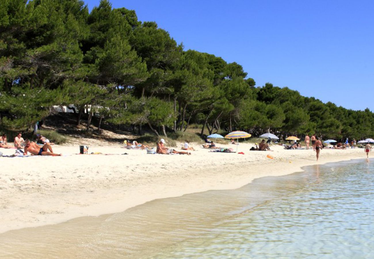 Ferienwohnung in Alcudia - A. Countess Attic C in Alcudia Beach