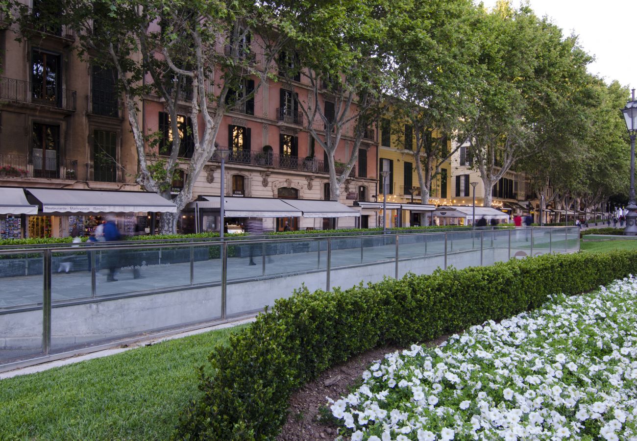 Ferienwohnung in Palma de Mallorca - Centro de Palma junto a la Catedral - La Lonja Hom