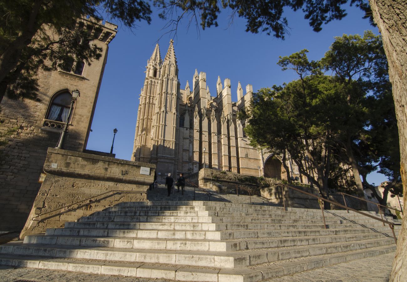 Ferienwohnung in Palma de Mallorca - Centro de Palma junto a la Catedral - La Lonja Hom