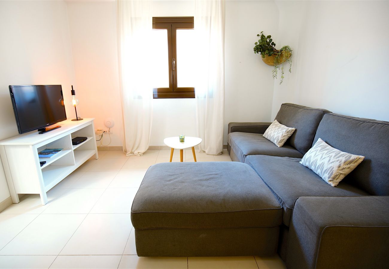 Ferienwohnung in Palma de Mallorca - Centro de Palma junto a la Catedral - La Lonja Hom