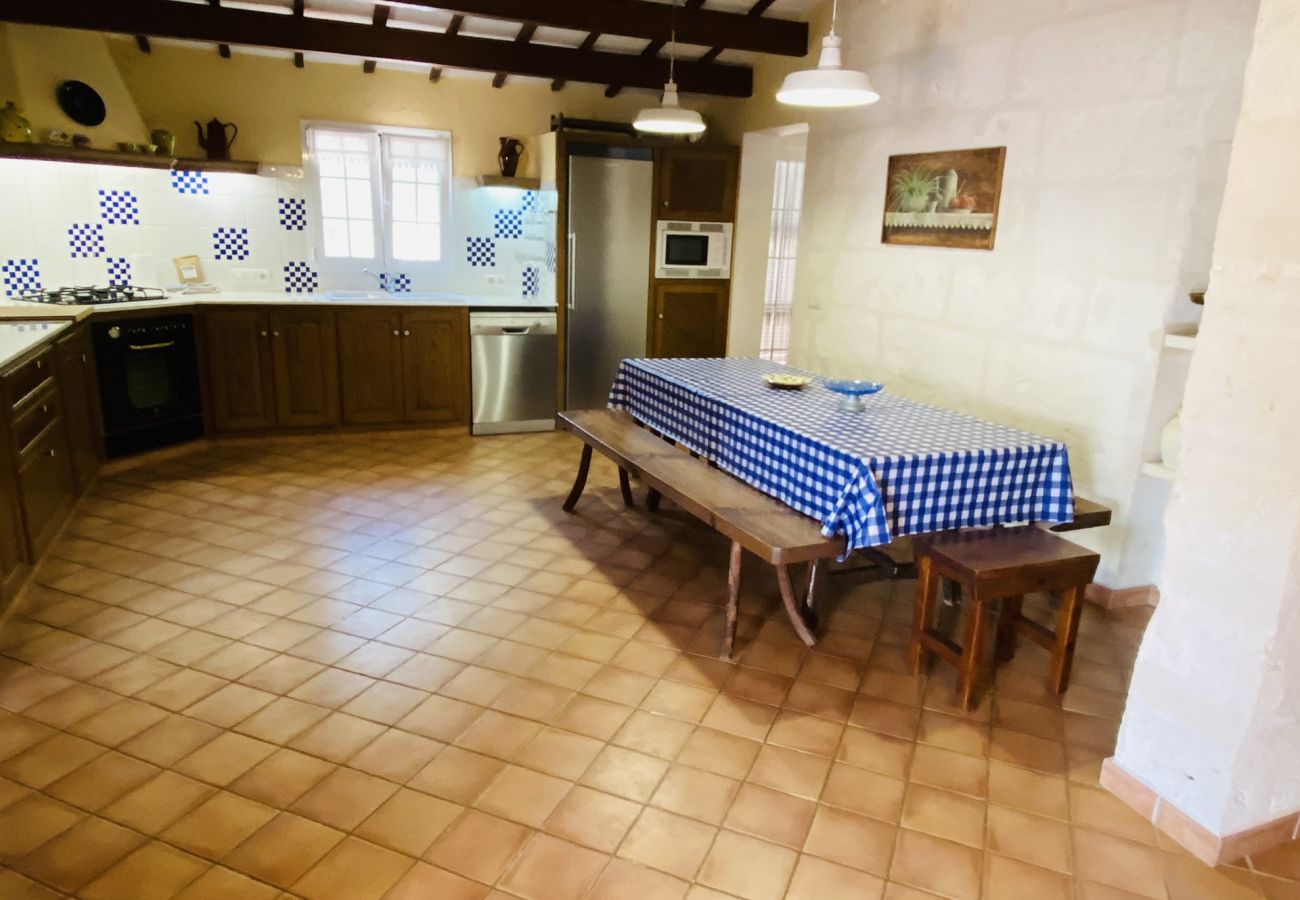 Finca in Alaior - Finca TONI