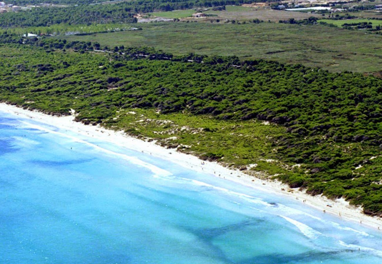 Ferienwohnung in Platja de Muro - A. Playa Esperanza Attic