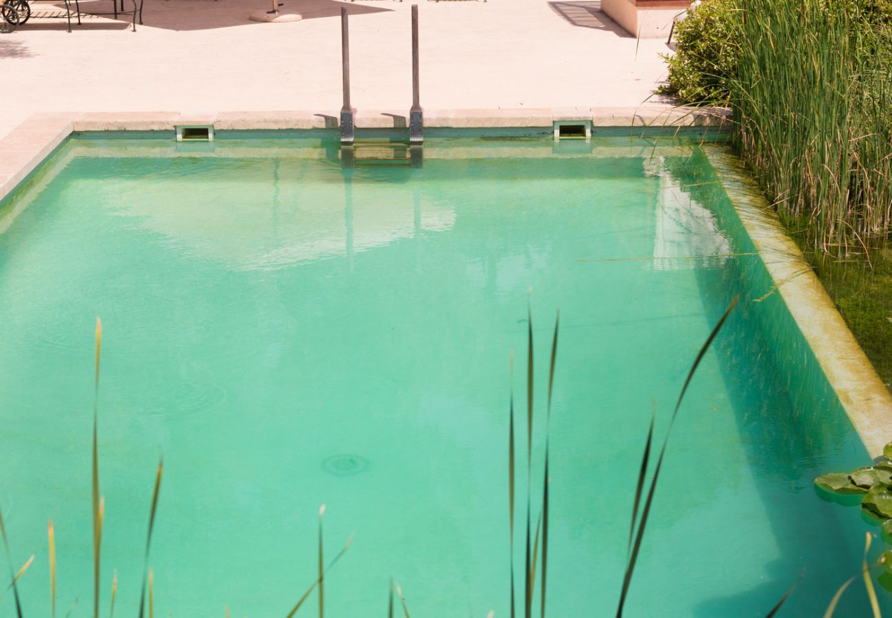 Villa in Andratx - V. Finca Puig de Garrafa with pool Port d'Andratx