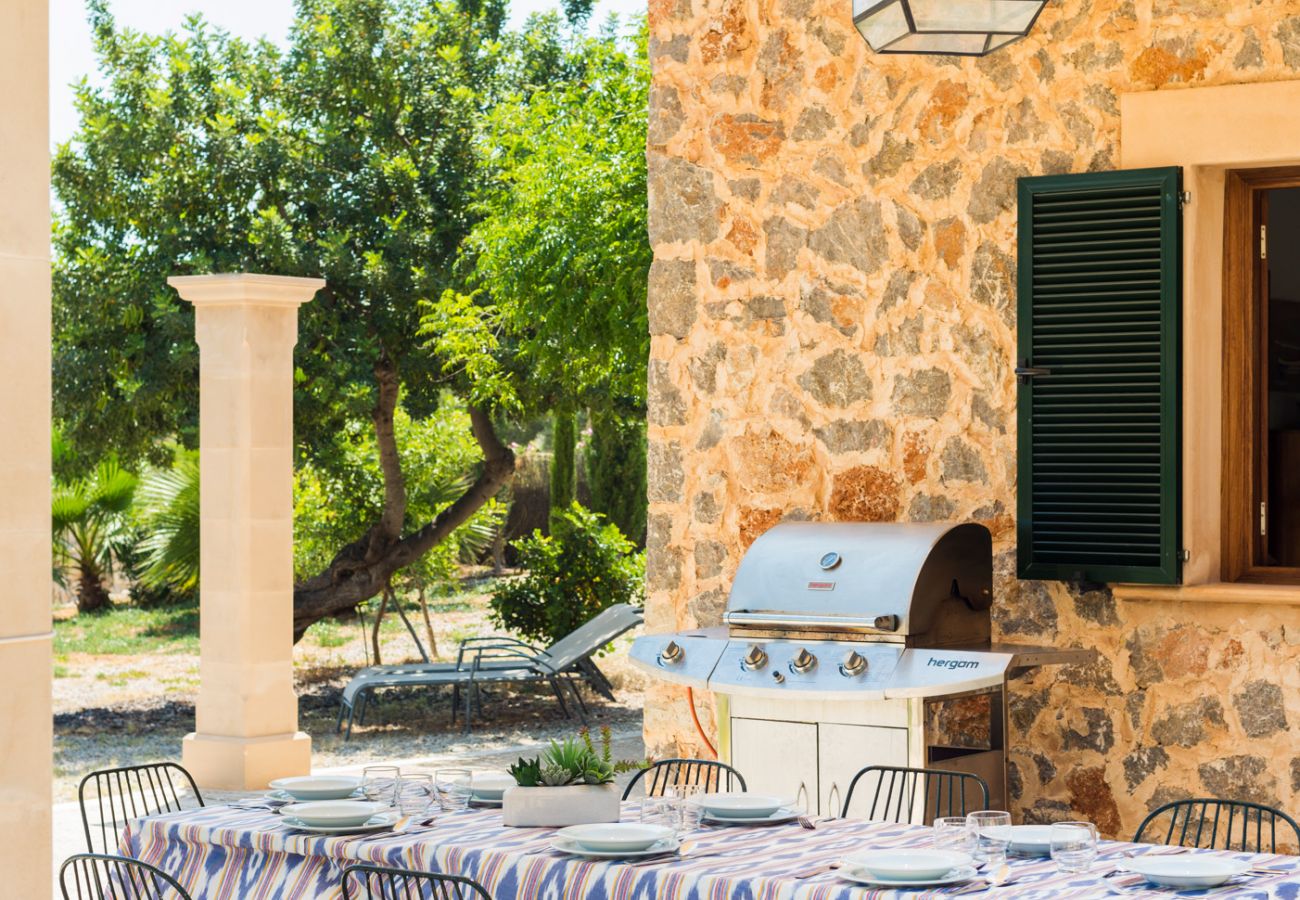 Villa in Andratx - V. Finca Puig de Garrafa with pool Port d'Andratx
