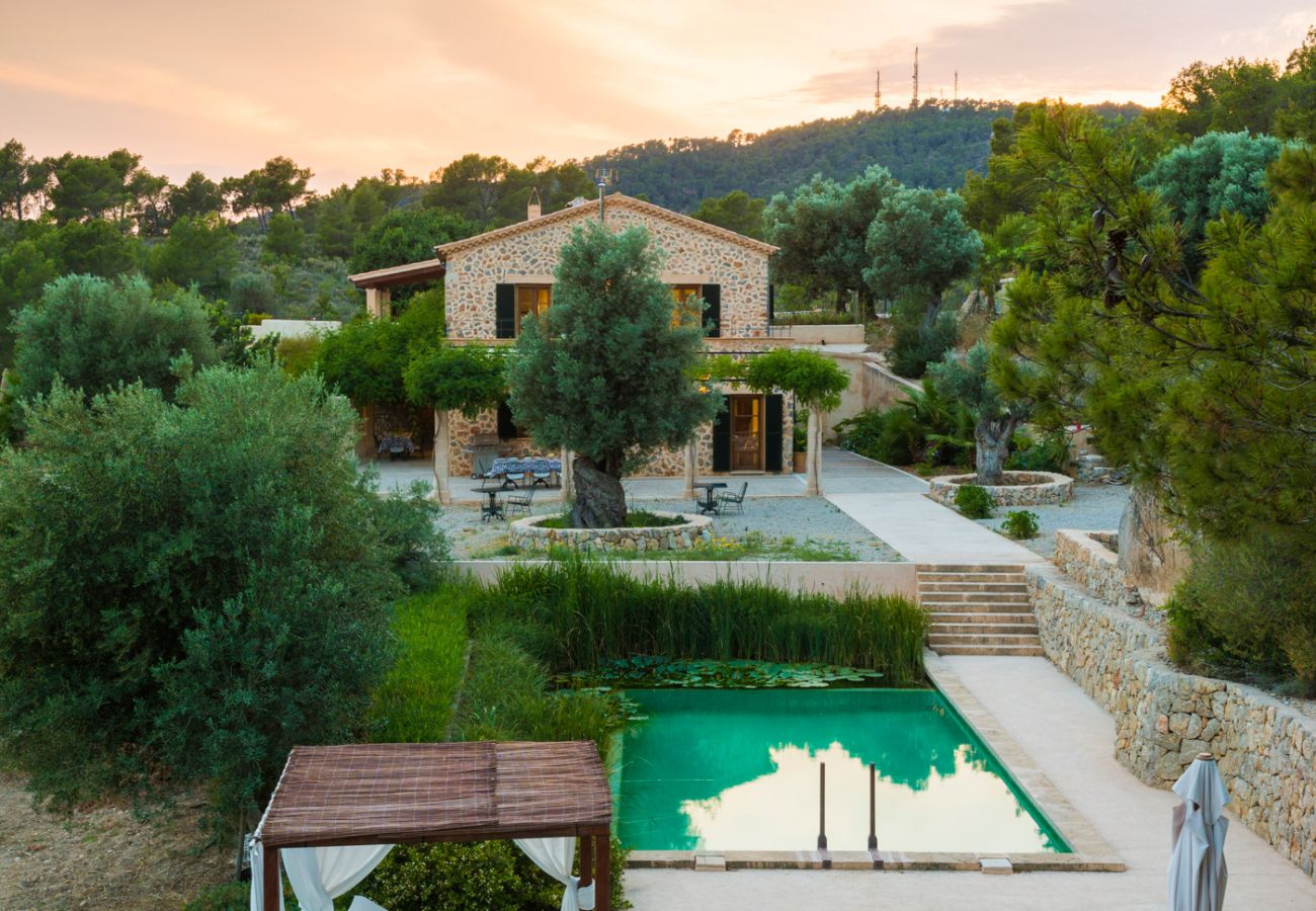 Villa in Andratx - V. Finca Puig de Garrafa with pool Port d'Andratx
