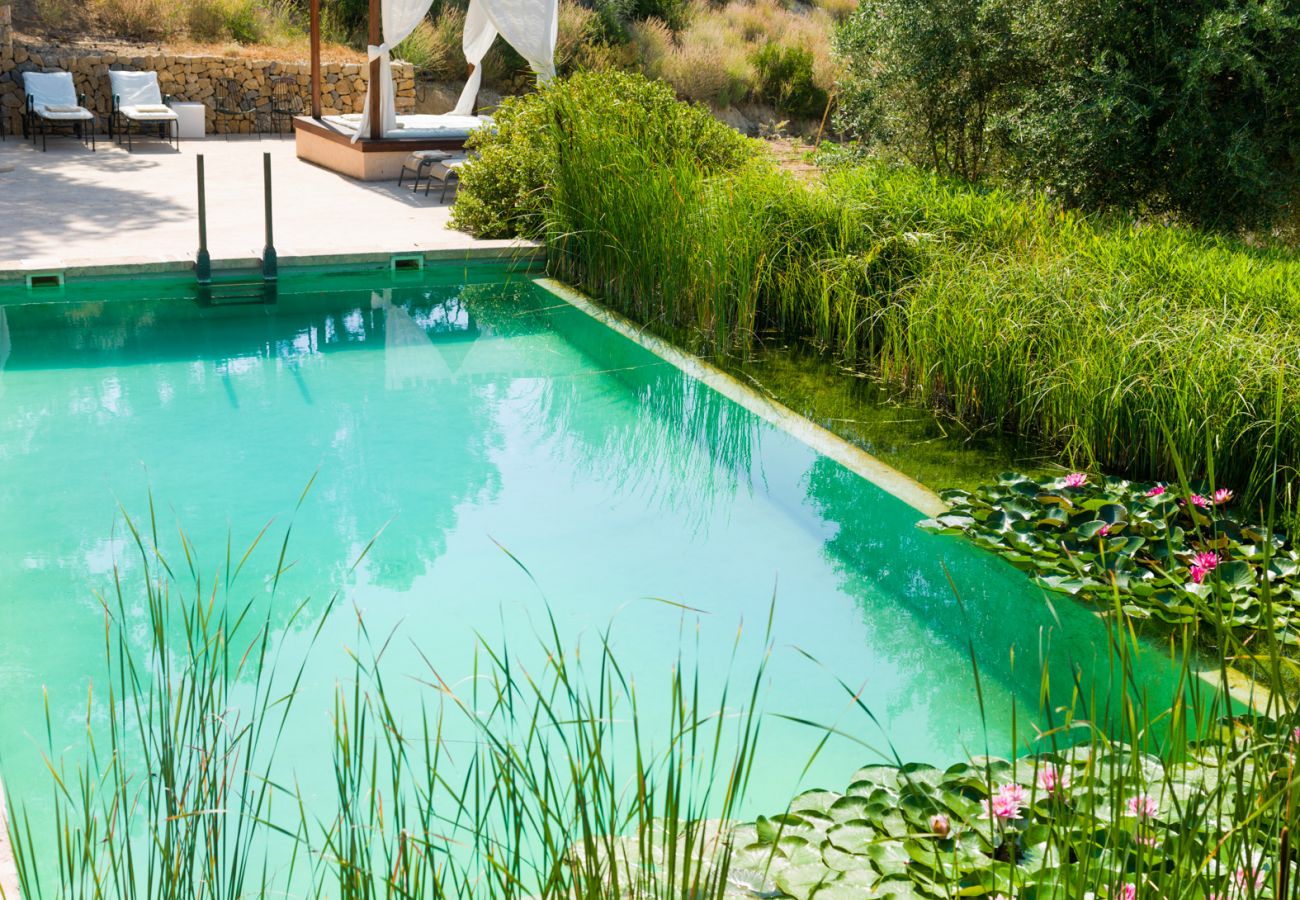 Villa in Andratx - V. Finca Puig de Garrafa with pool Port d'Andratx