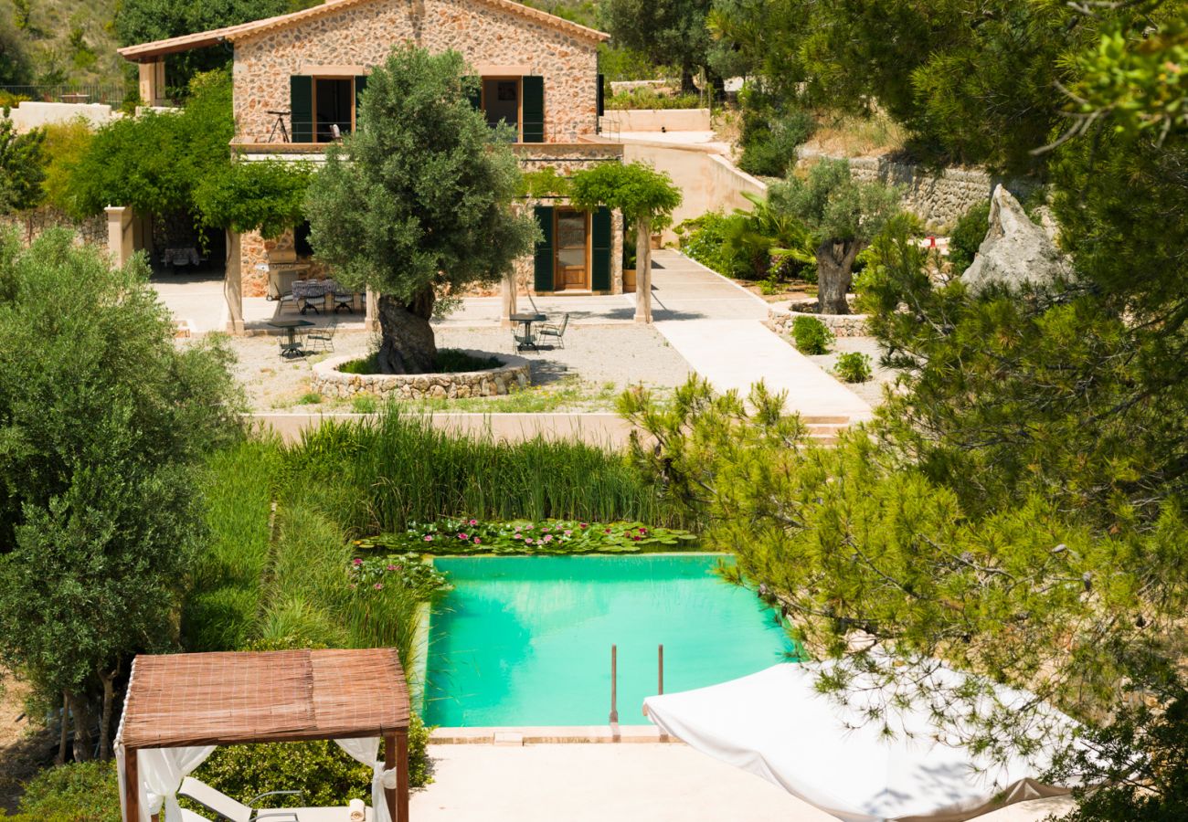 Villa in Andratx - V. Finca Puig de Garrafa with pool Port d'Andratx