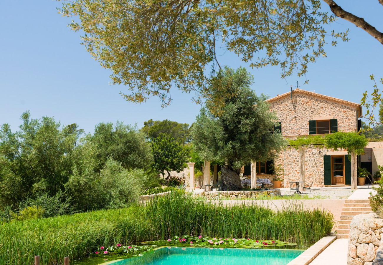 Villa in Andratx - V. Finca Puig de Garrafa with pool Port d'Andratx