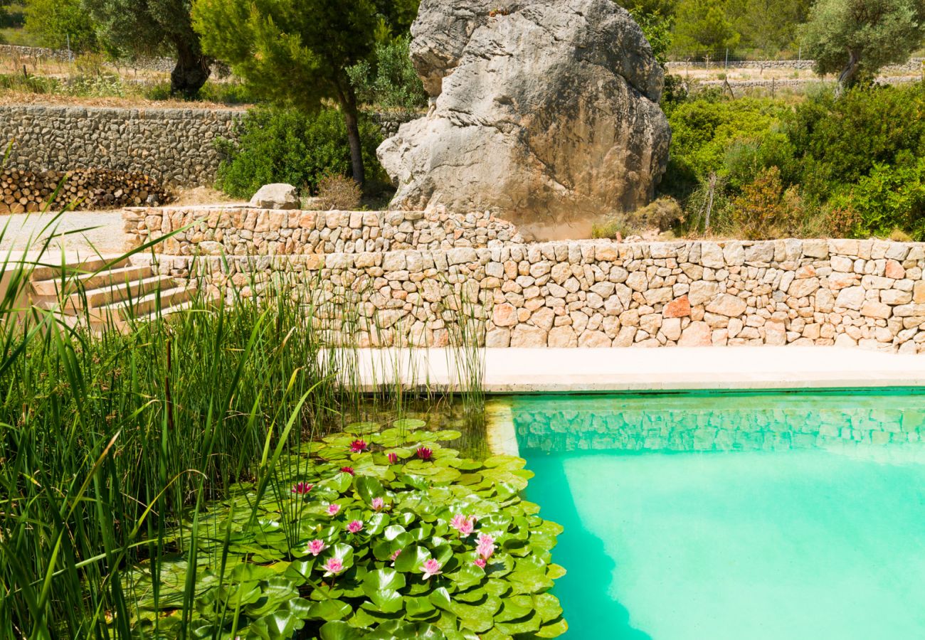 Villa in Andratx - V. Finca Puig de Garrafa with pool Port d'Andratx