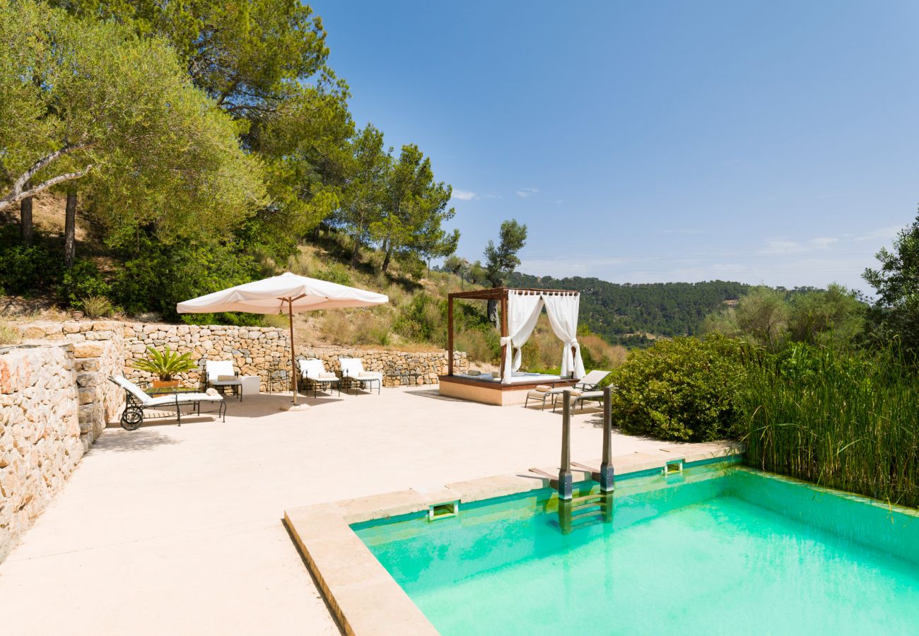 Villa in Andratx - V. Finca Puig de Garrafa with pool Port d'Andratx