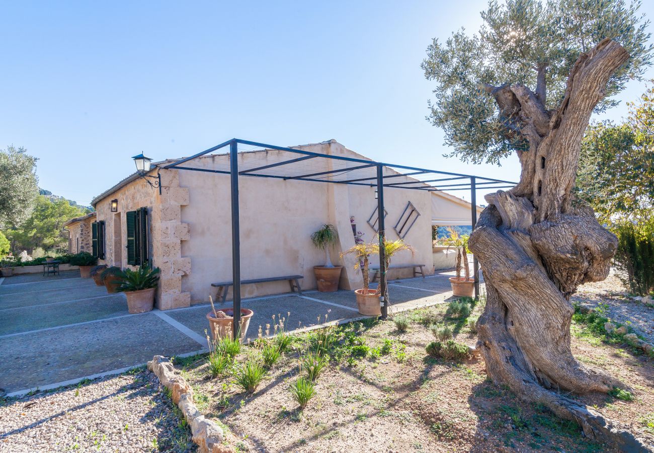 Villa in Andratx - V. Finca Lluisa in Andratx WiFi