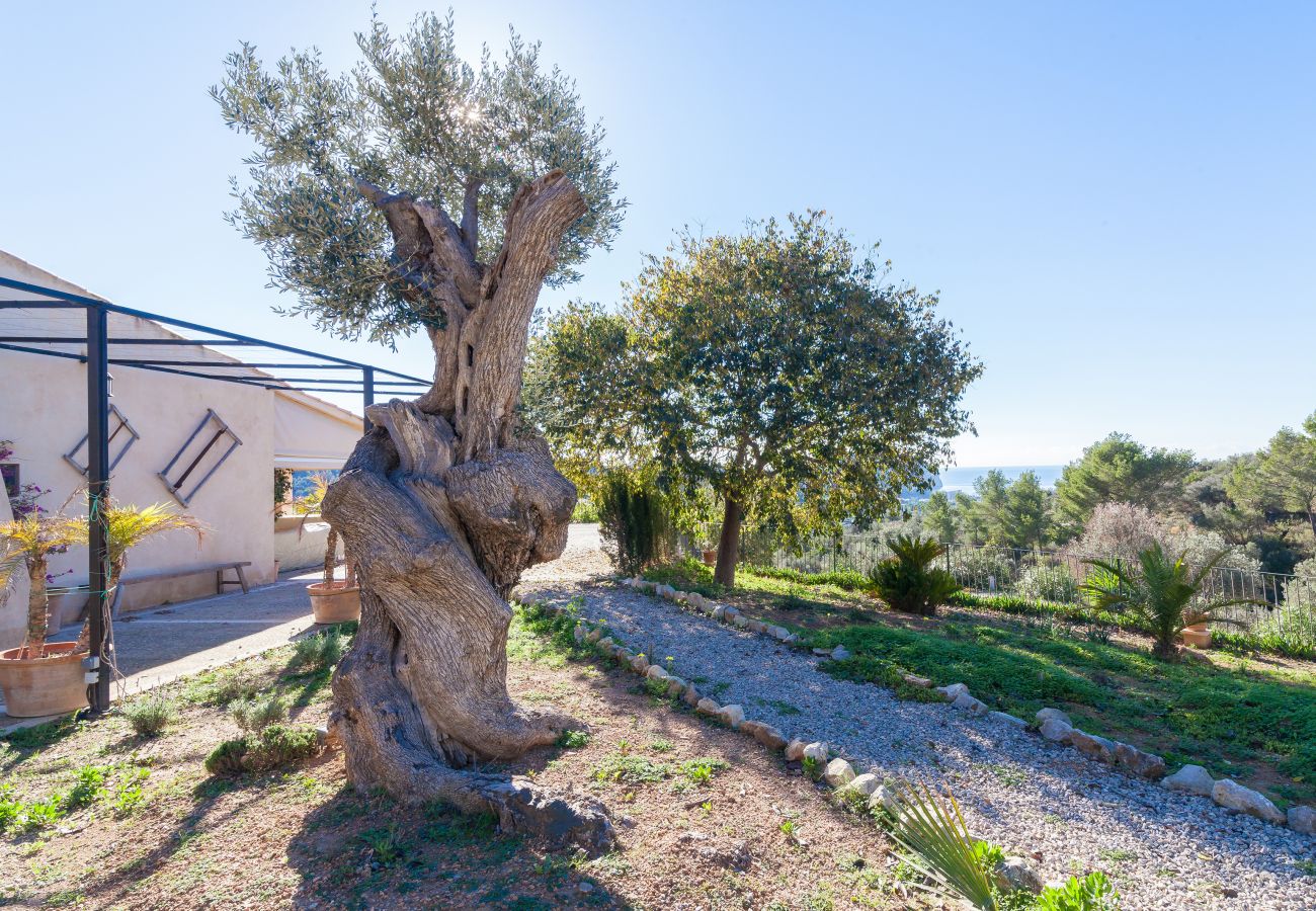 Villa in Andratx - V. Finca Lluisa in Andratx WiFi