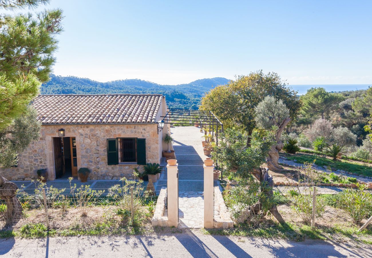 Villa in Andratx - V. Finca Lluisa in Andratx WiFi