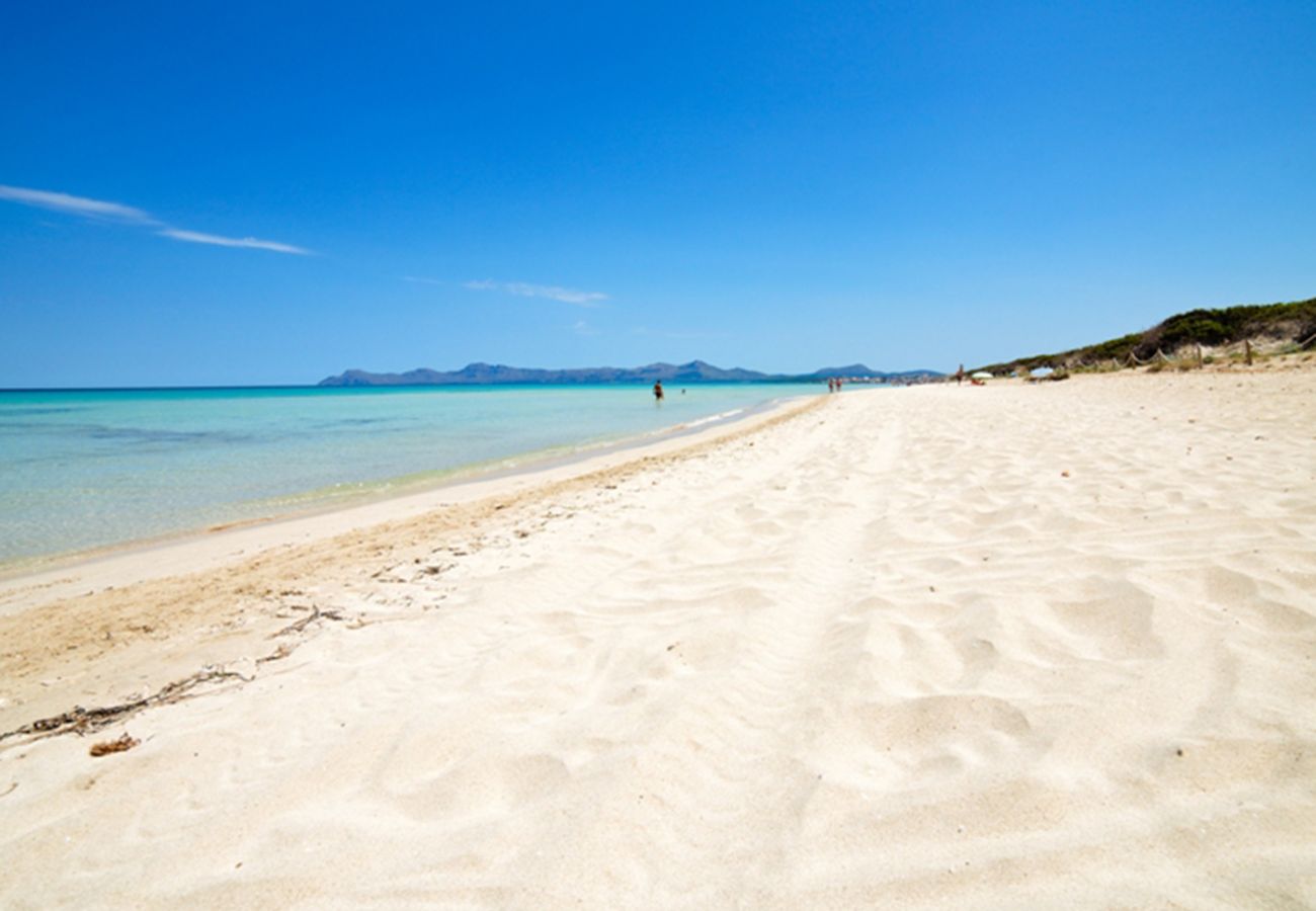 Ferienwohnung in Alcudia - A. Oiza Sand Castle 24, Apto. 24 Edificio Canopus