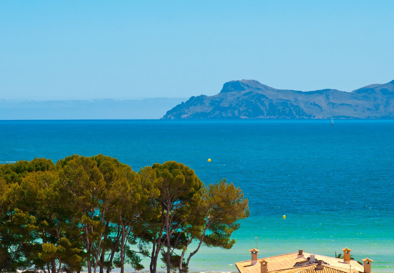 Ferienwohnung in Alcudia - A. The Shell II with Sea Views and Pool