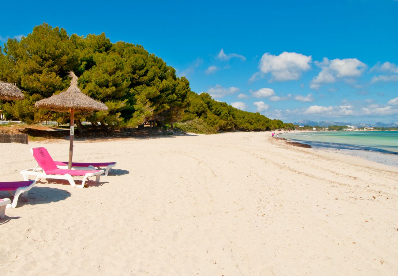 Ferienwohnung in Port d´Alcudia - A. Mar del Plata at Alcudia Beach