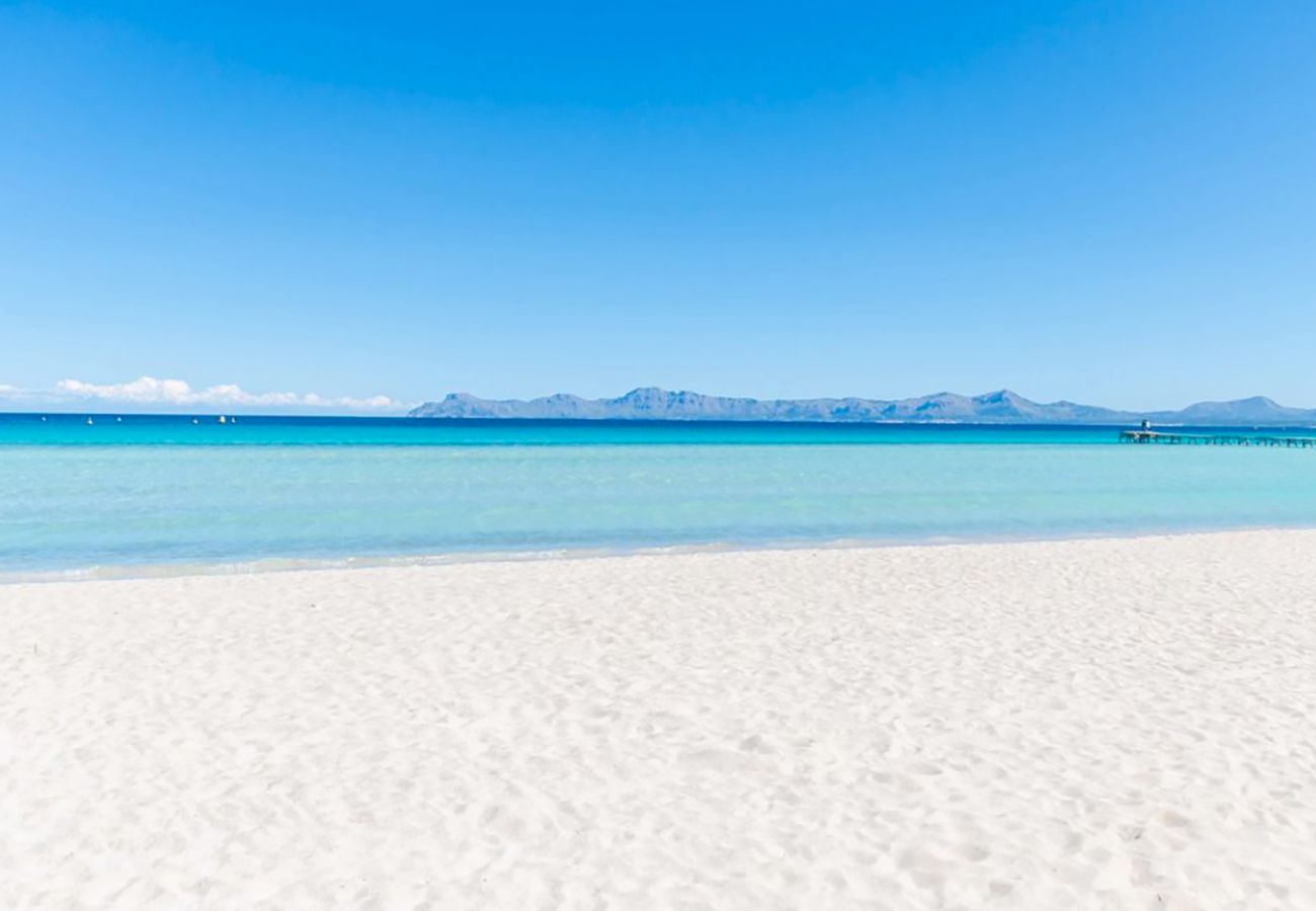Ferienwohnung in Port d´Alcudia - A. Mar del Plata at Alcudia Beach
