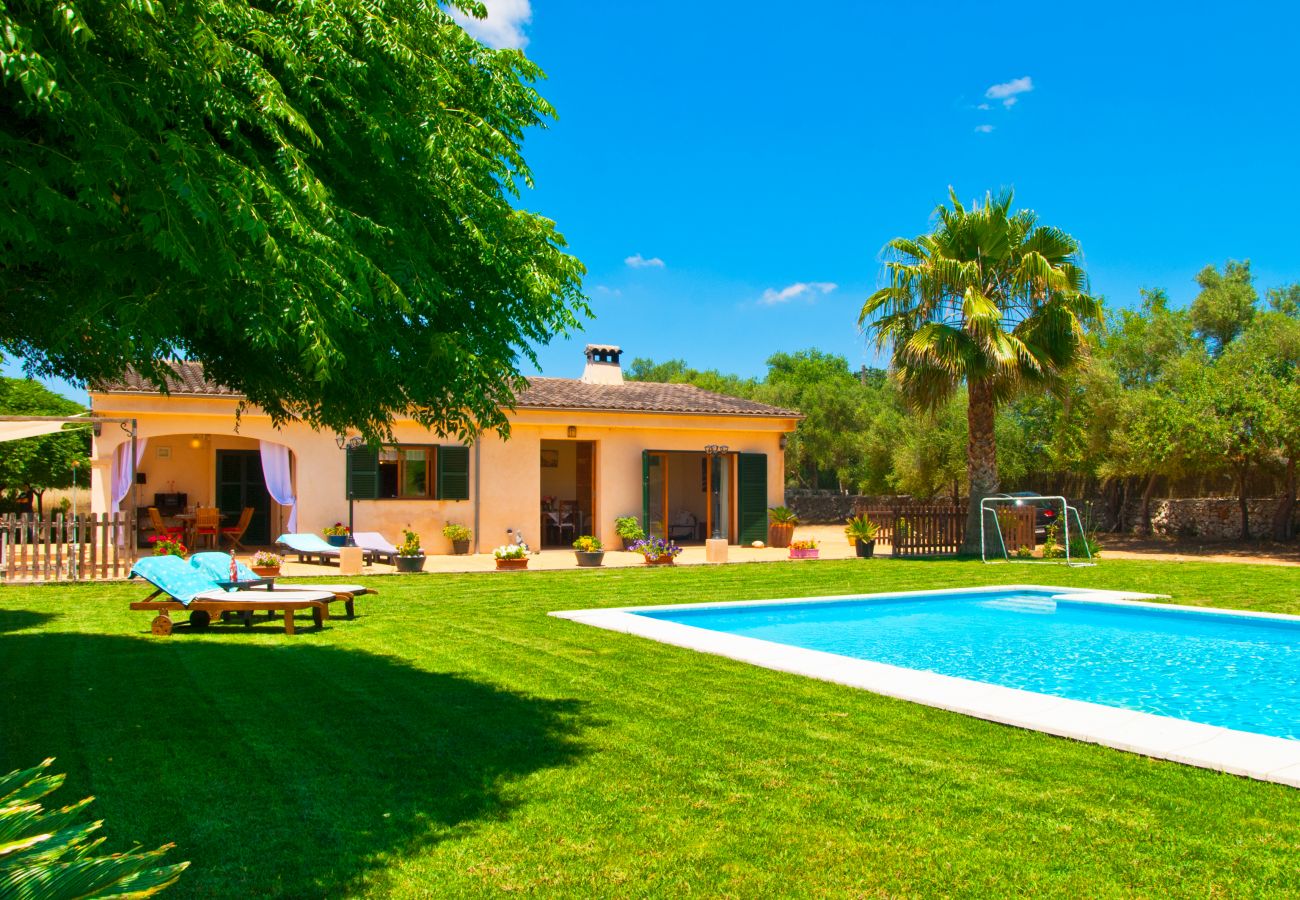 Villa in Sencelles - V. Can Coll de Sencelles