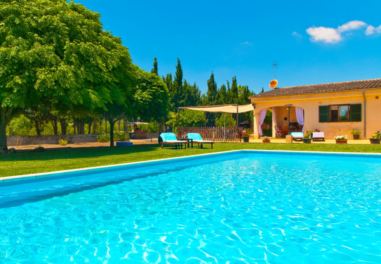 Villa in Sencelles - V. Can Coll de Sencelles