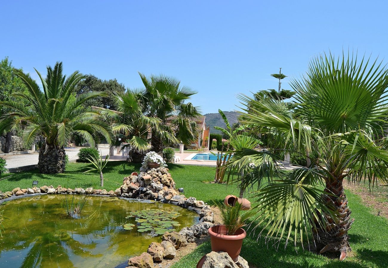 Die Finca besteht aus einem schönen Garten mit Pool