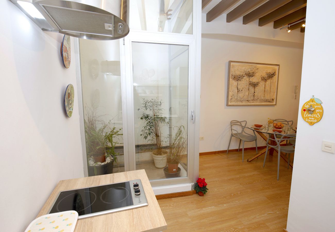 Ferienwohnung in Palma de Mallorca - Sant Miquel Homes Formentor
