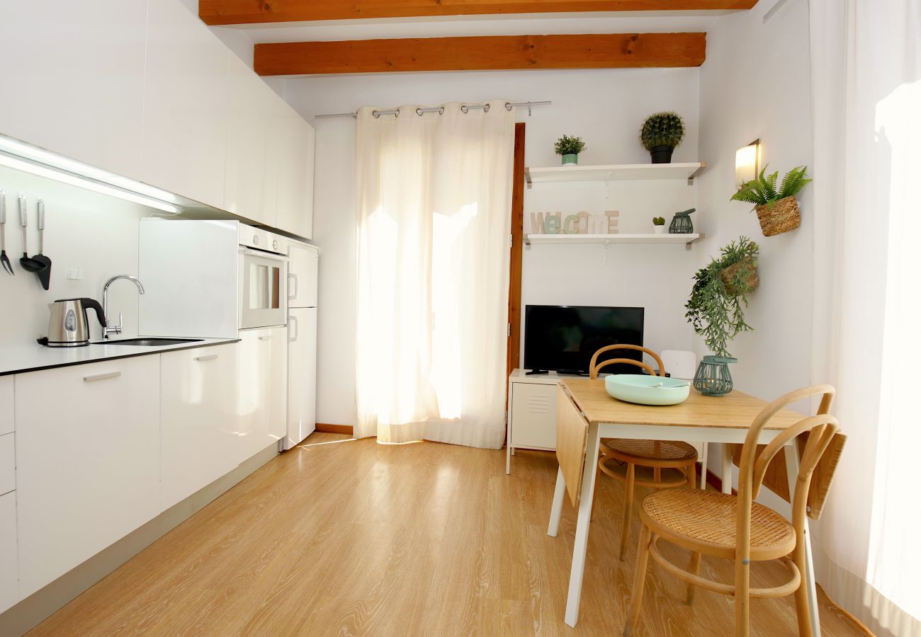 Ferienwohnung in Palma de Mallorca - Sant Miquel Homes Albufera