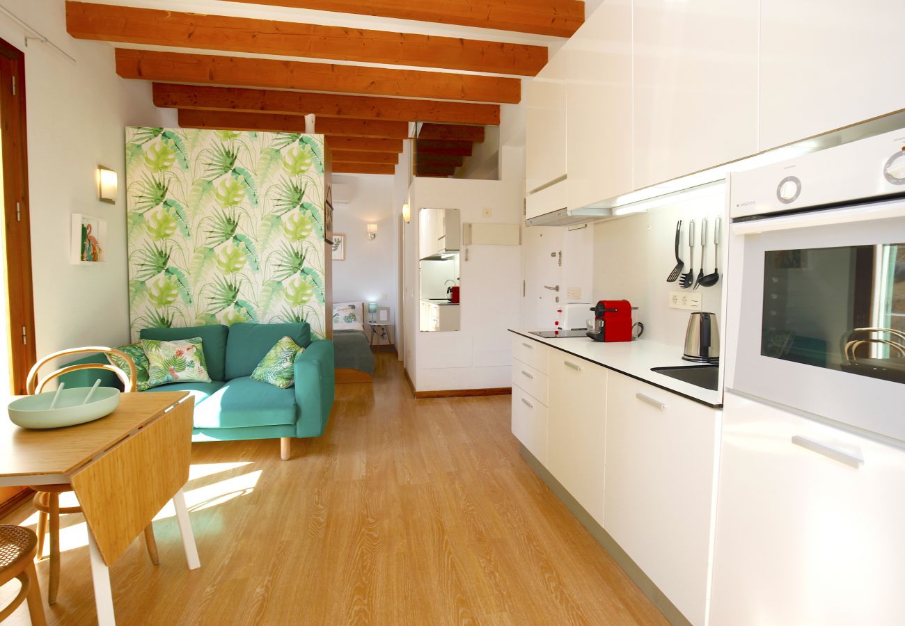 Ferienwohnung in Palma de Mallorca - Sant Miquel Homes Albufera