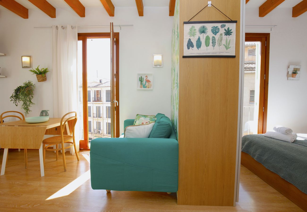 Ferienwohnung in Palma de Mallorca - Sant Miquel Homes Albufera