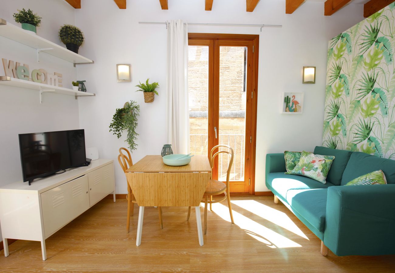Wohnung in Palma de Mallorca - Sant Miquel Homes Albufera