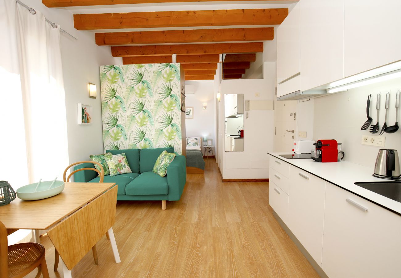 Ferienwohnung in Palma de Mallorca - Sant Miquel Homes Albufera