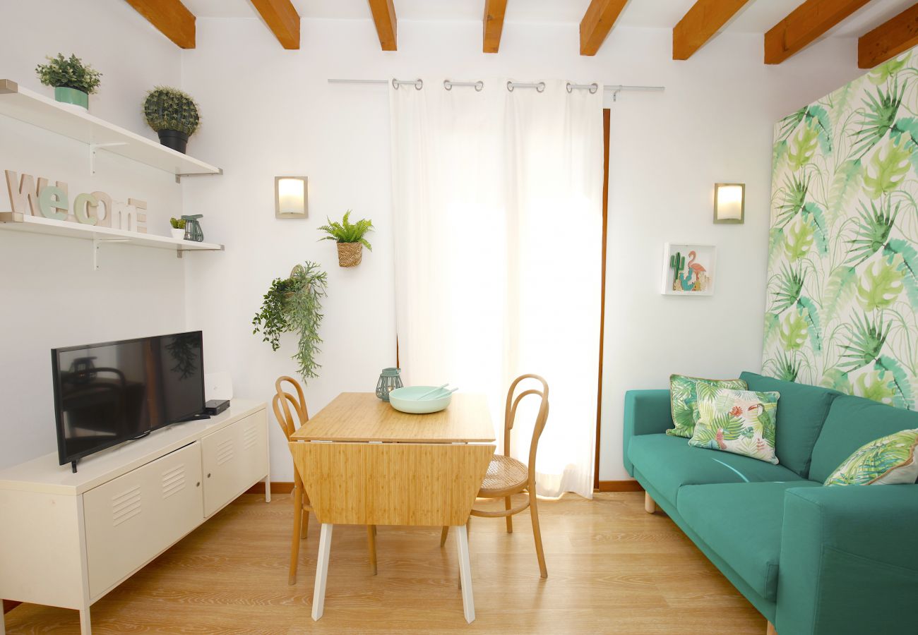 Ferienwohnung in Palma de Mallorca - Sant Miquel Homes Albufera