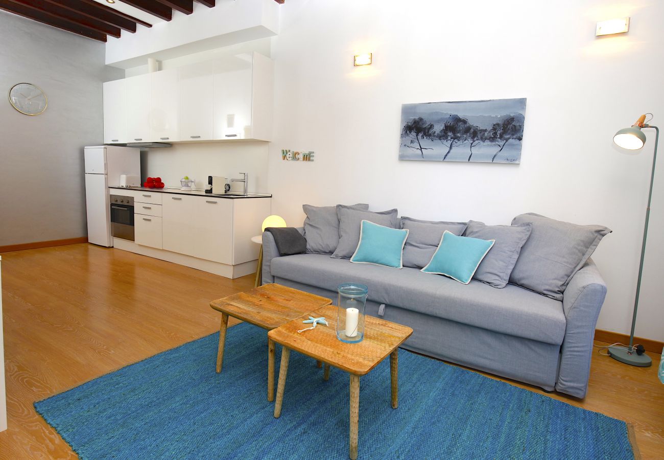 Ferienwohnung in Palma de Mallorca - Sant Miquel Homes Es Trenc