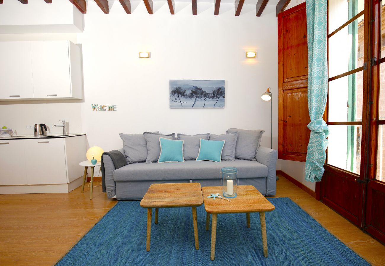 Ferienwohnung in Palma de Mallorca - Sant Miquel Homes Es Trenc
