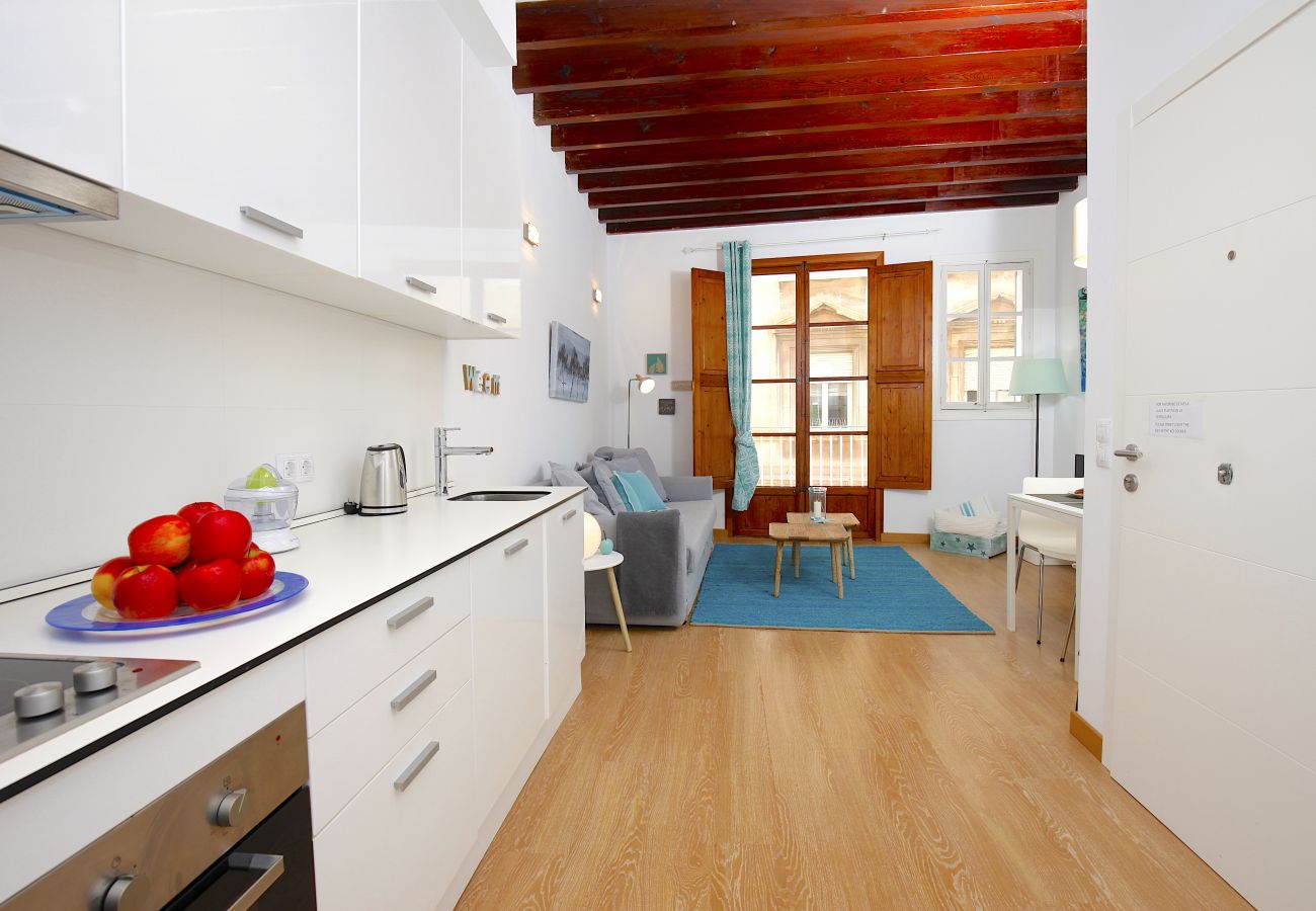 Ferienwohnung in Palma de Mallorca - Sant Miquel Homes Es Trenc