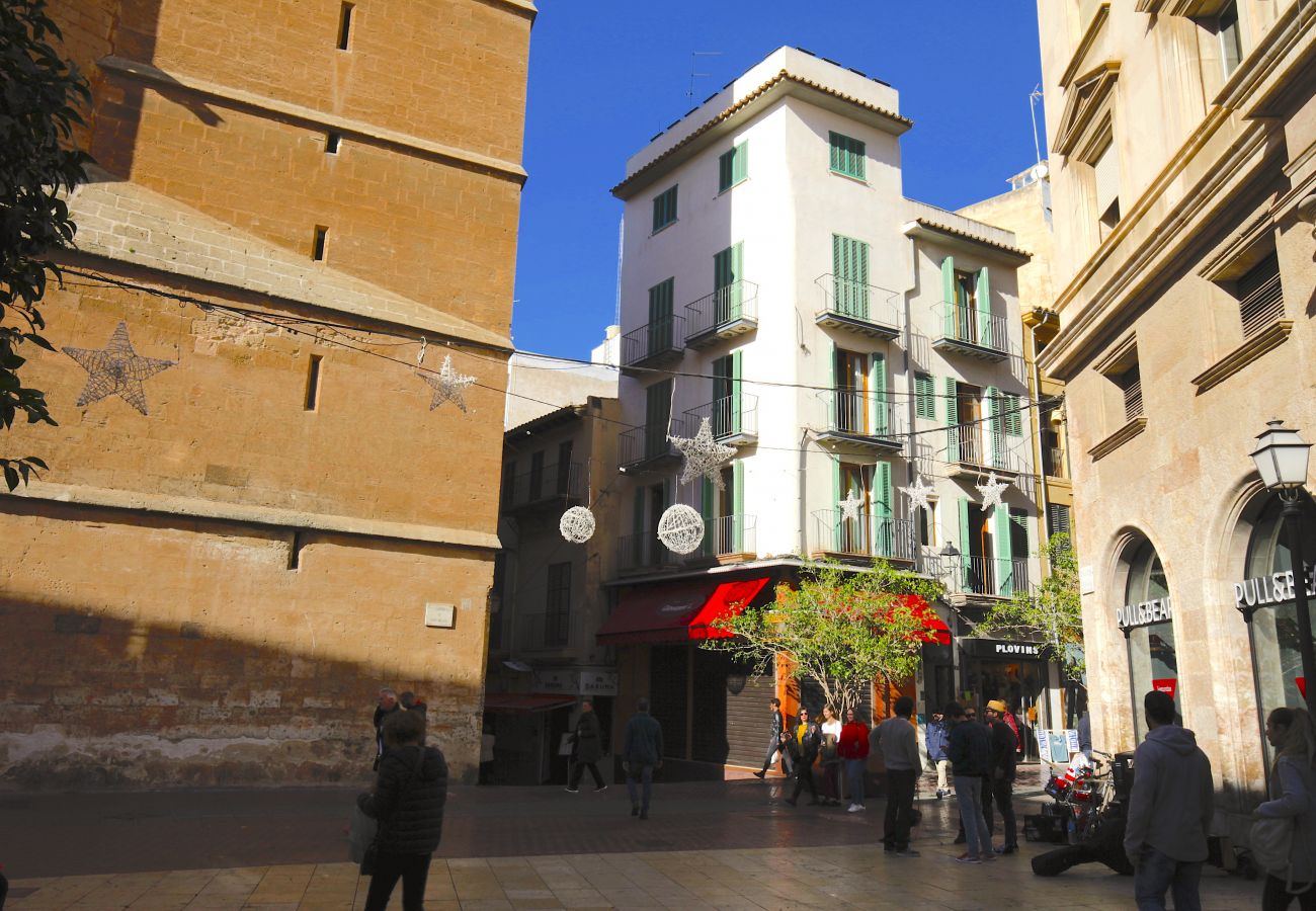 Wohnung in Palma de Mallorca - Sant Miquel Homes Es Trenc