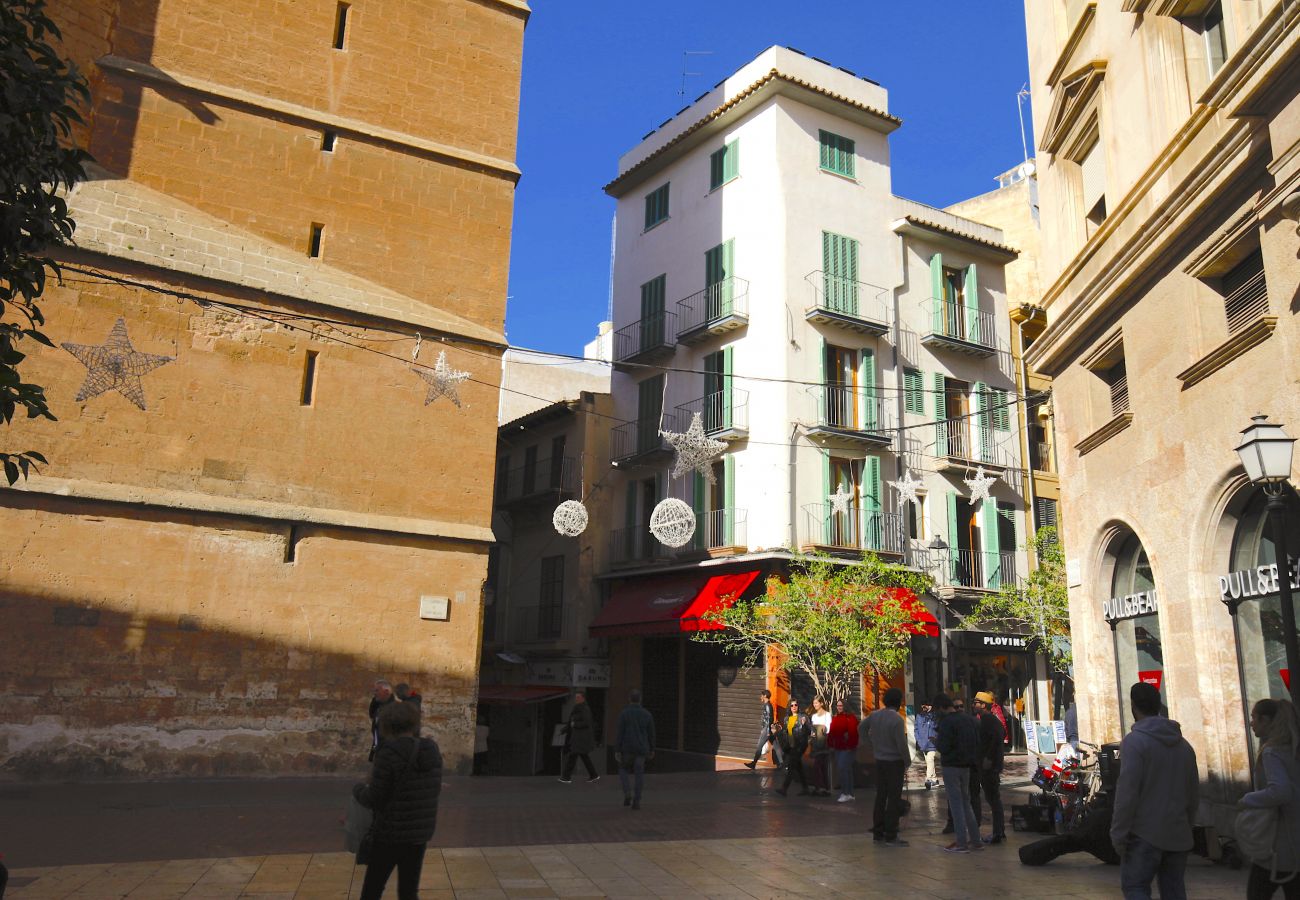 Ferienwohnung in Palma de Mallorca - Sant Miquel Homes Es Trenc