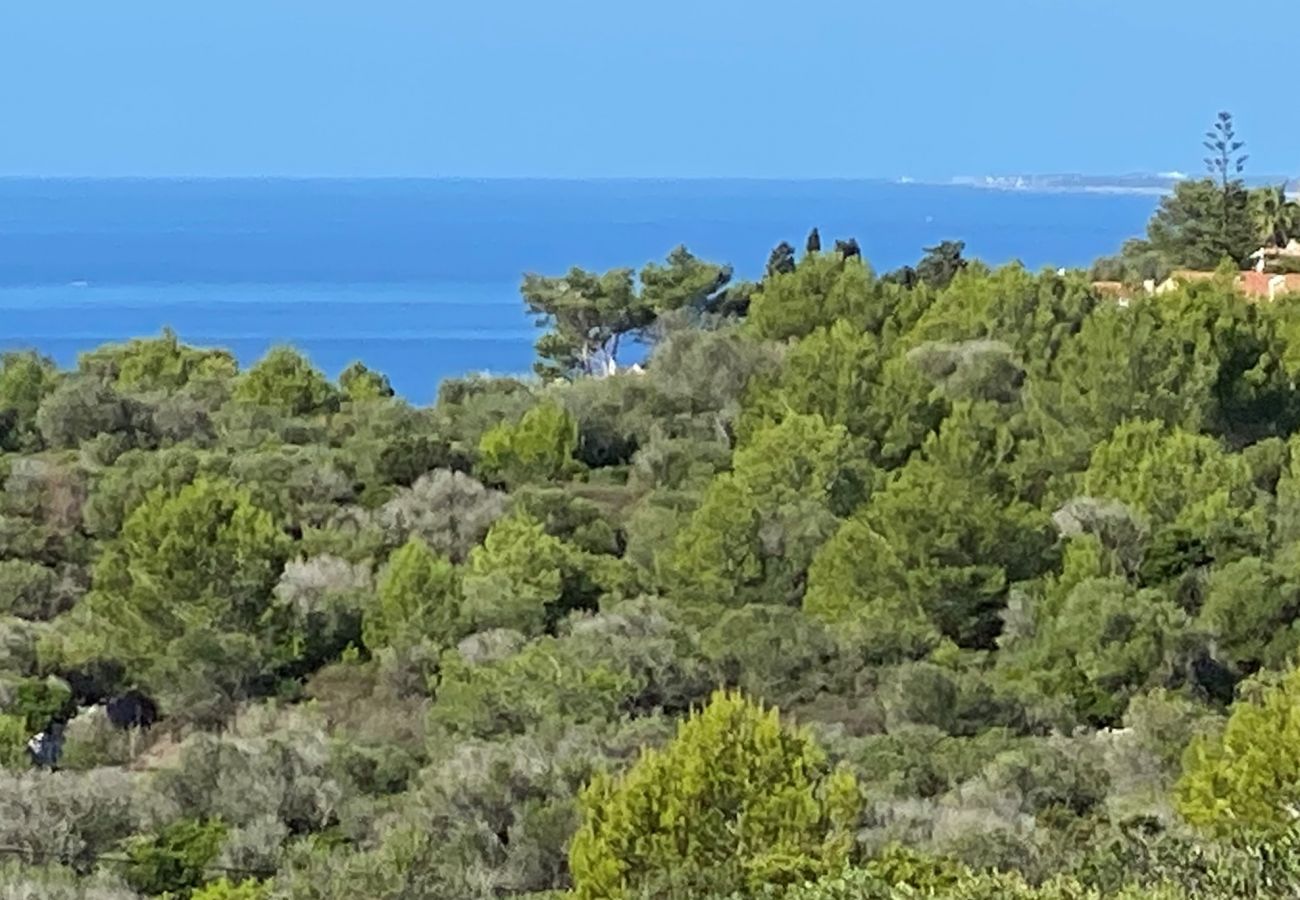Finca in Son Bou - Finca SANT JAUME