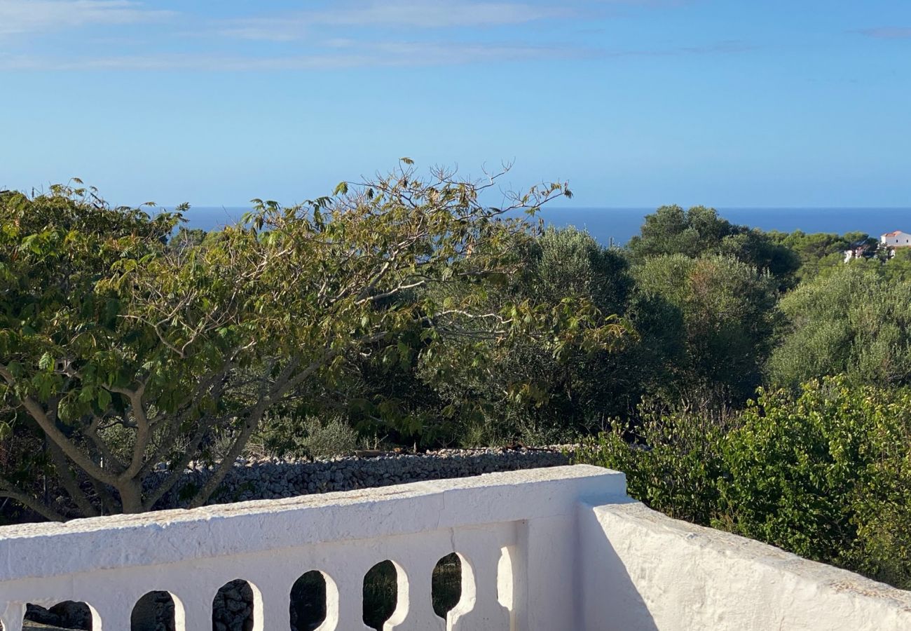 Finca in Son Bou - Finca SANT JAUME