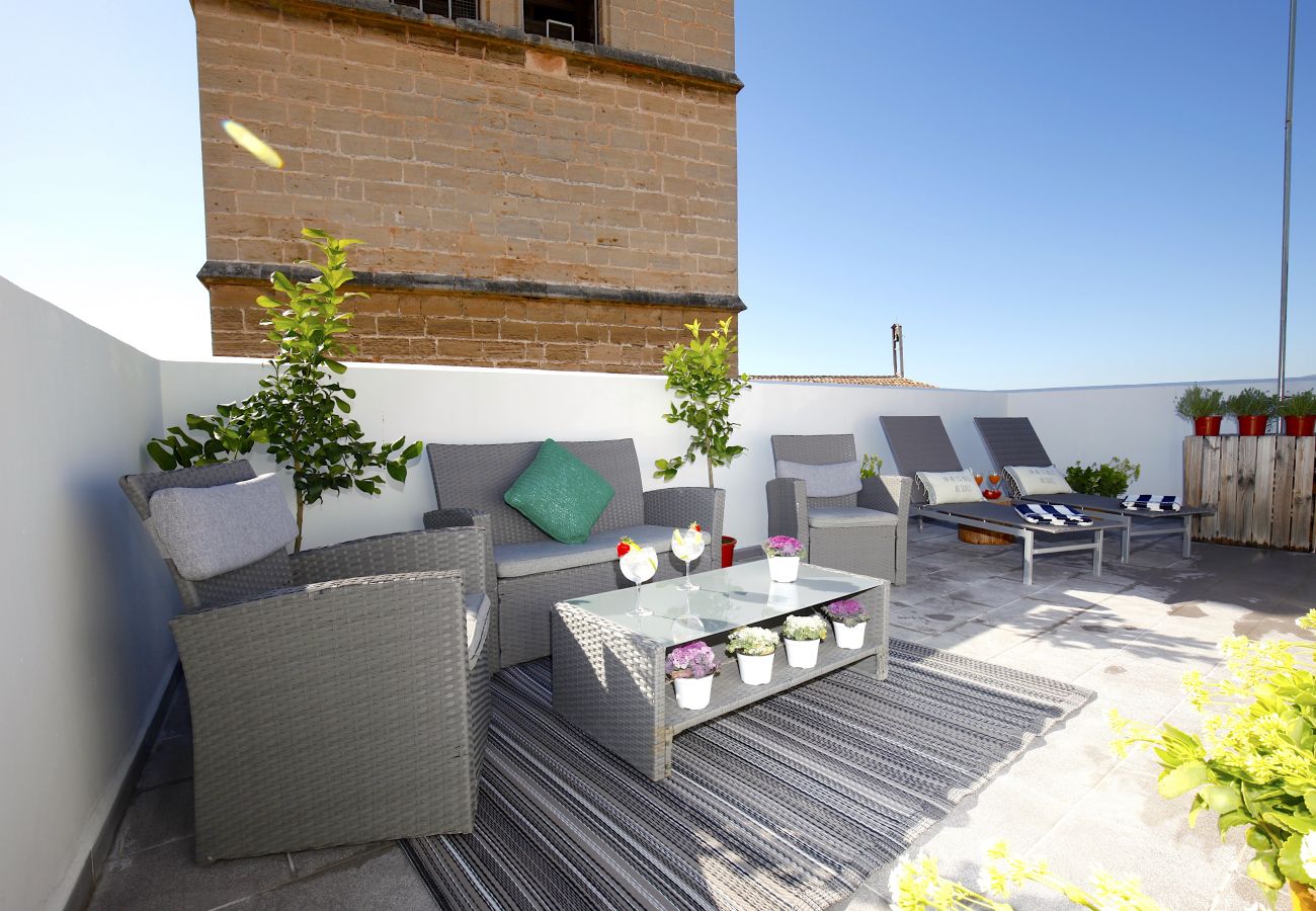 Ferienwohnung in Palma de Mallorca - Sant Miquel Homes Penthouse